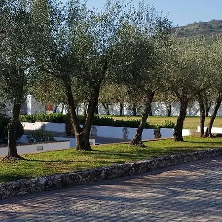 Montalto